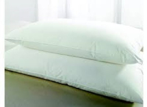 Waterproof & Fire Retardant Green Tinted Pillow