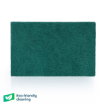 Green Scourers 1x10
