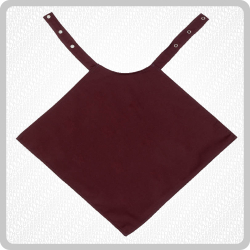 Napkin Style Dignified Clothing Protectors