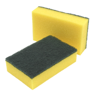Sponge Scourers 1x10